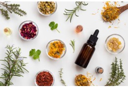 Herbal medicine: a gentle way to support urinary incontinence