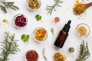 Des plantes pour mieux vivre l’incontinence urinaire : le rôle de la phytothérapie