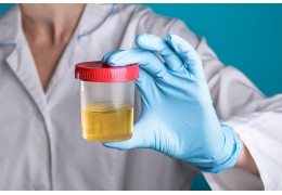Urinary microbiome and incontinence: what’s the connection?