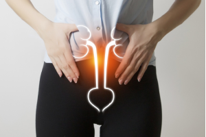 The Female Urethra: Structure, Function, and Common Disorders