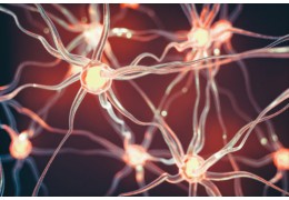 Neuromodulation: an innovative therapy for urinary incontinence